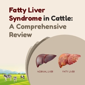 Fatty Liver Syndrome (FLS) in Cattle